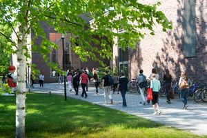 Studieren im Grünen