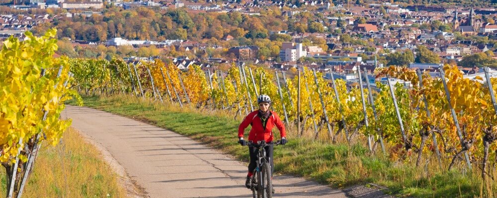 Master Betriebswirtschaftslehre (BWL) in Baden-Württemberg?