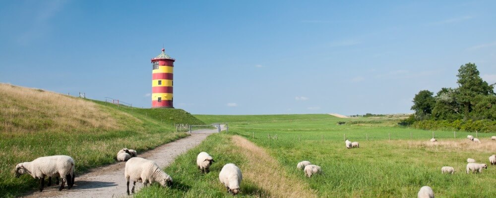 Master Unternehmensführung in Niedersachsen?